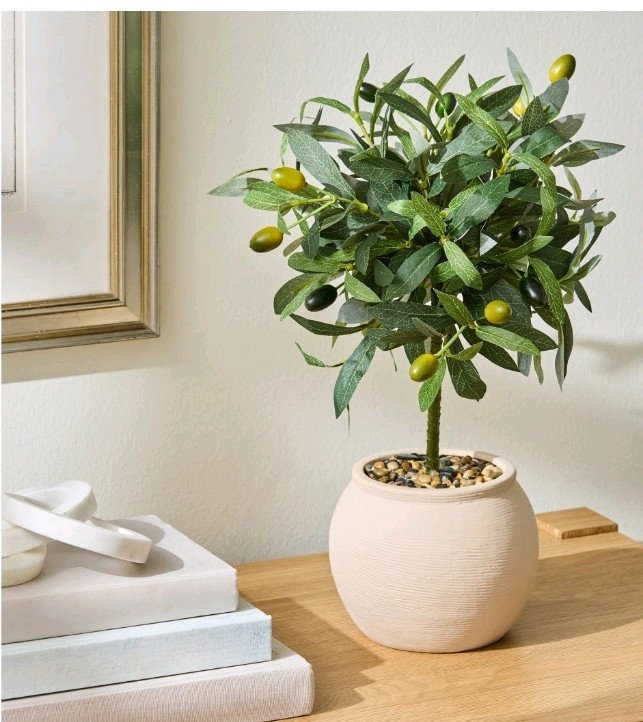 Better Homes & Gardens Realistic Artificial Olive Plant with Tan Ceramic Vase