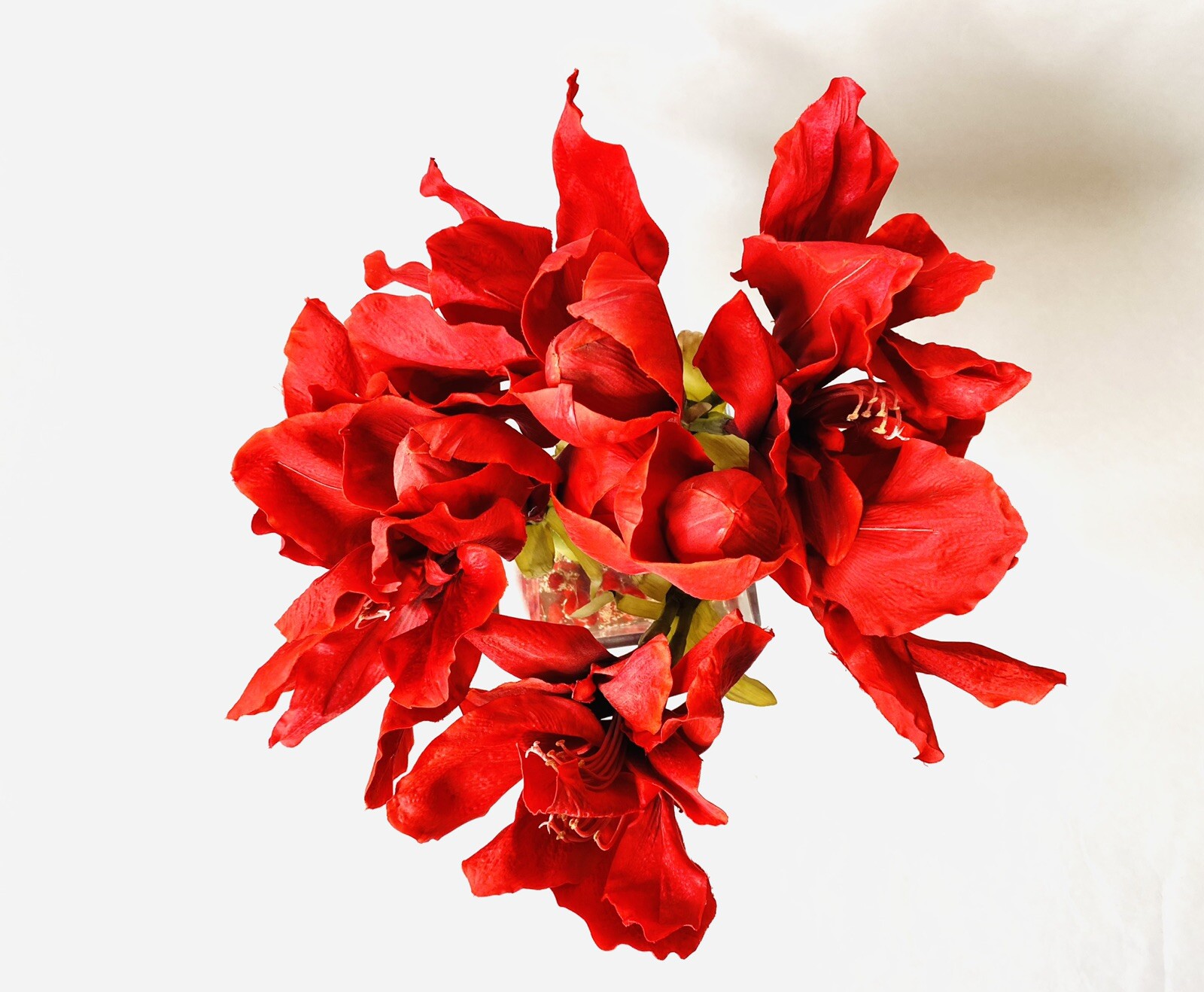 Red Amaryllis Artificial Flower Arrangement Square Glass Vase Water 15” Tall