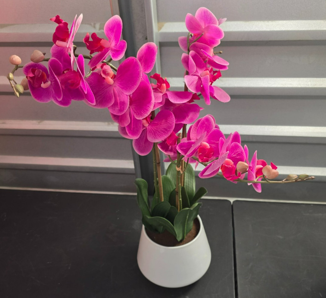 Beaumont Designs 3-stem Artificial Orchid – Pink – 1594010 – 1356615 – 1518077