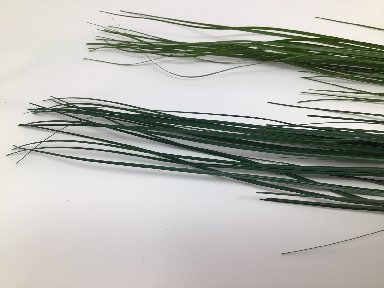Onion Grass Floral Pick Green 27” Arrangement Basket Filler 2 Picks NOS