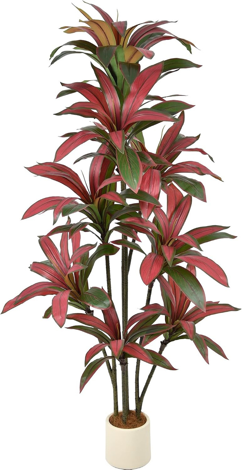 6FT Lifelike Artificial Dracaena Tree with Red Ti Leaves for Home & Office Decor