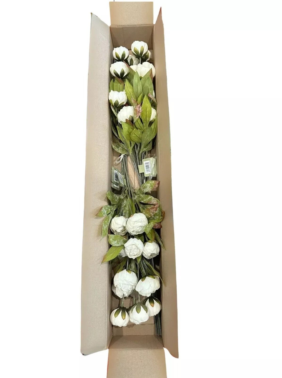 Michael’s Ashland Cream Peony Stems Set of 8 New