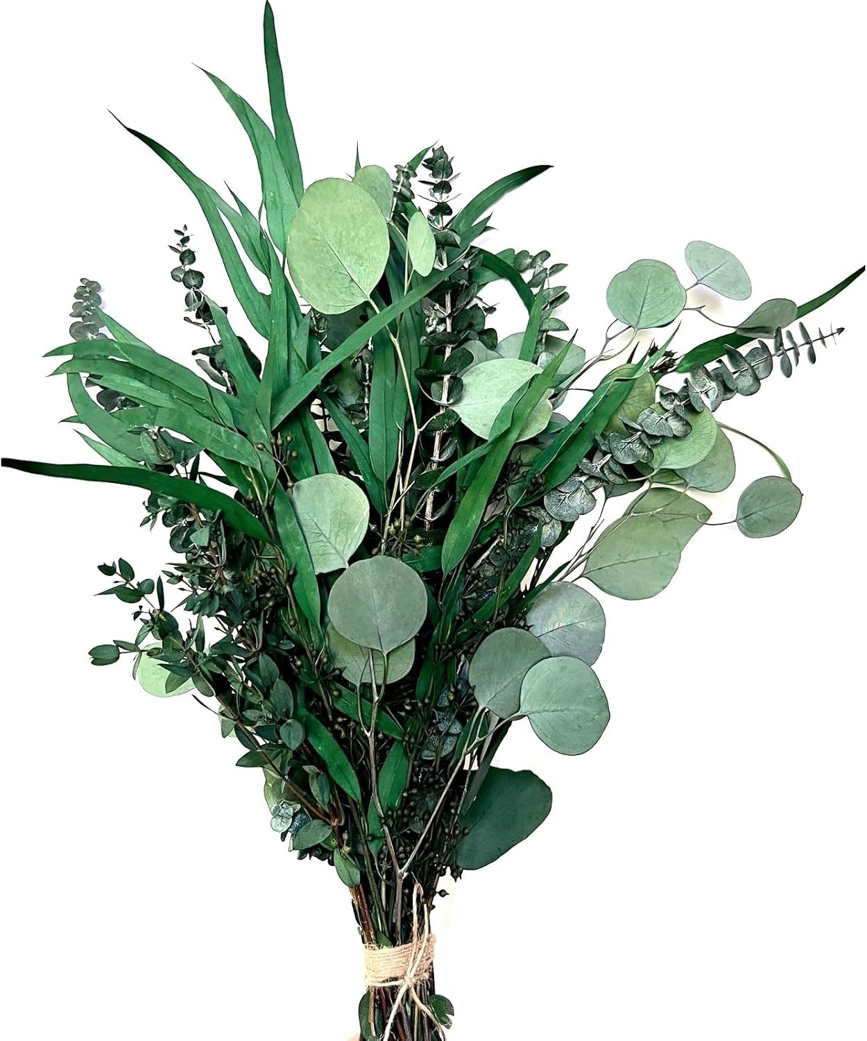 22 PCS Dried Eucalyptus for Shower Bundle, 17” Real Large Preserved Eucalypt…