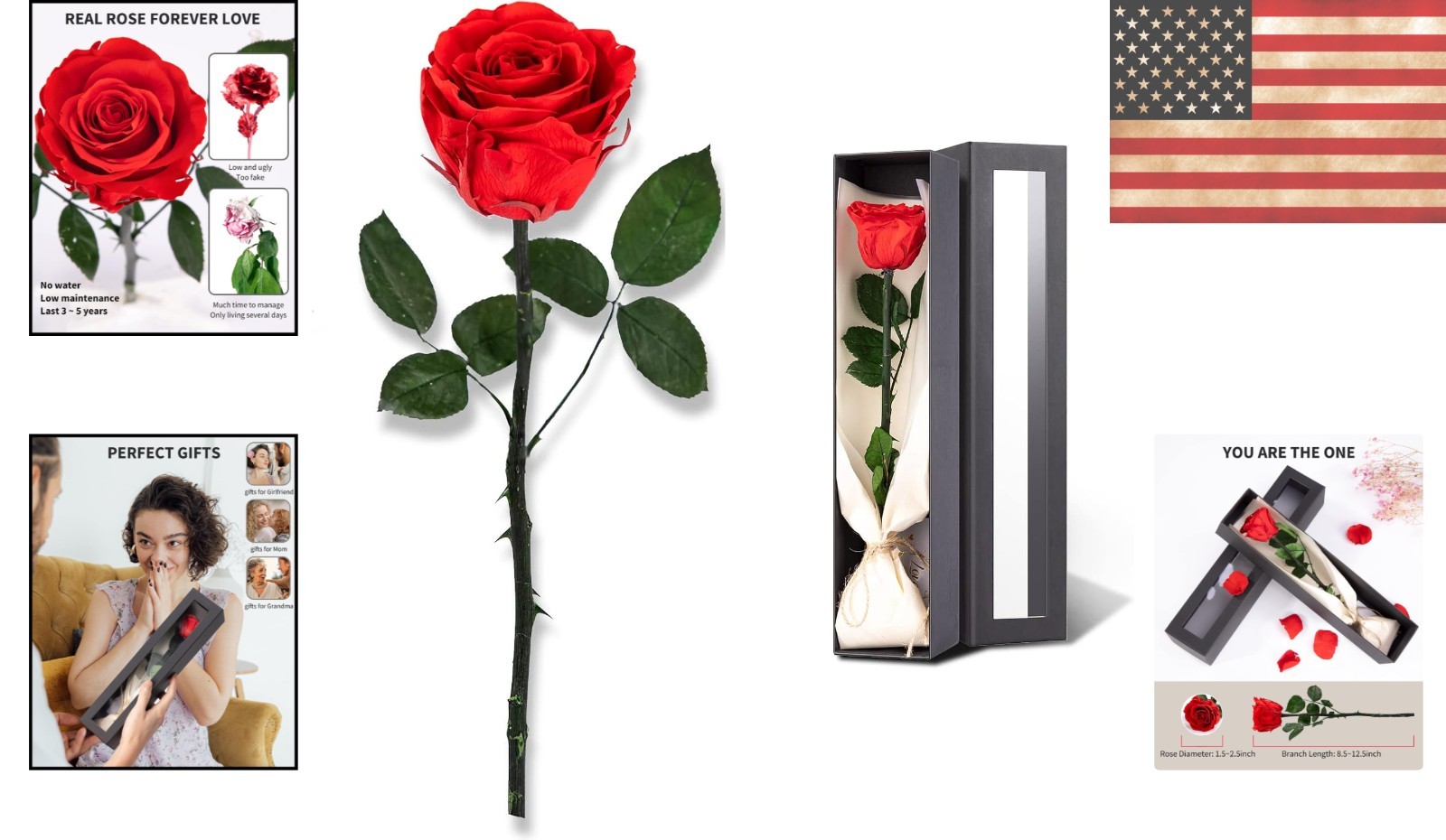 Preserved Red Rose Gifts for Her – A Lasting Symbol of Love and Appreciation