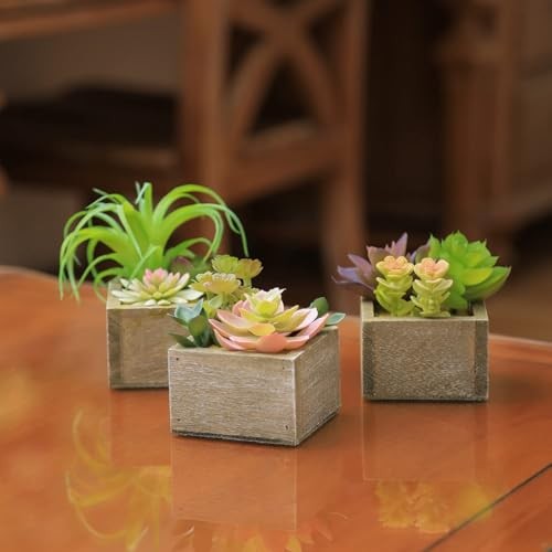 Artificial Succulents in Pots, Artificial Plants for Home Decor Organic