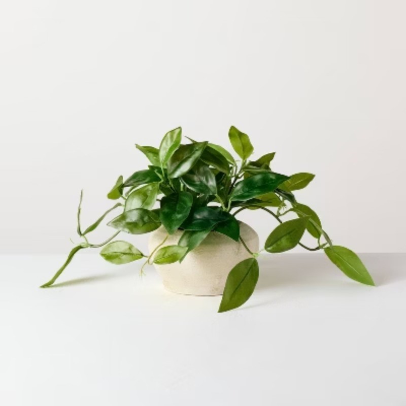 8.5" Small Trailing Hoya Leaf Potted Artificial Plant – Hearth &