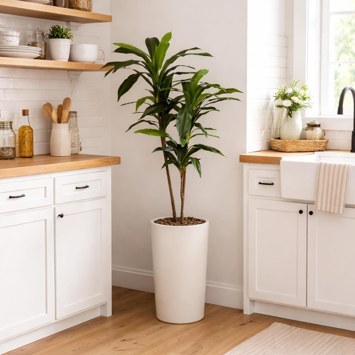 48in Artificial Dracaena W/ Real Touch Leaves & Multi Tonal Trunks Large Indoor