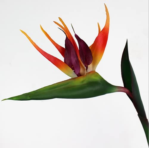 3 Pcs Large Orange Red Bird of Paradise 32 Inch Permanent Flowers,UV Resistan…