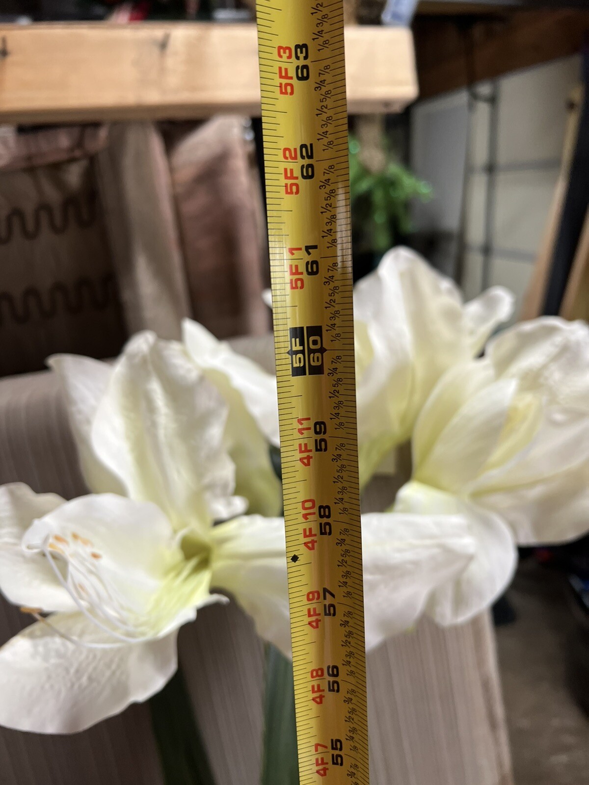 5ft Tall Silk White Iris, Amaryllis??Silk Flower Stem In Bulb. Free Standing