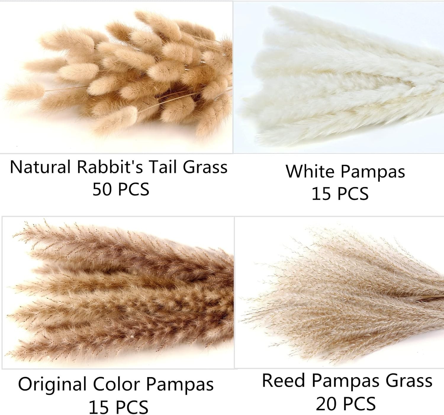 Natural Dried Pampas Grass Arrangement – Includes Bunny Tails, Gift-Ready Decor