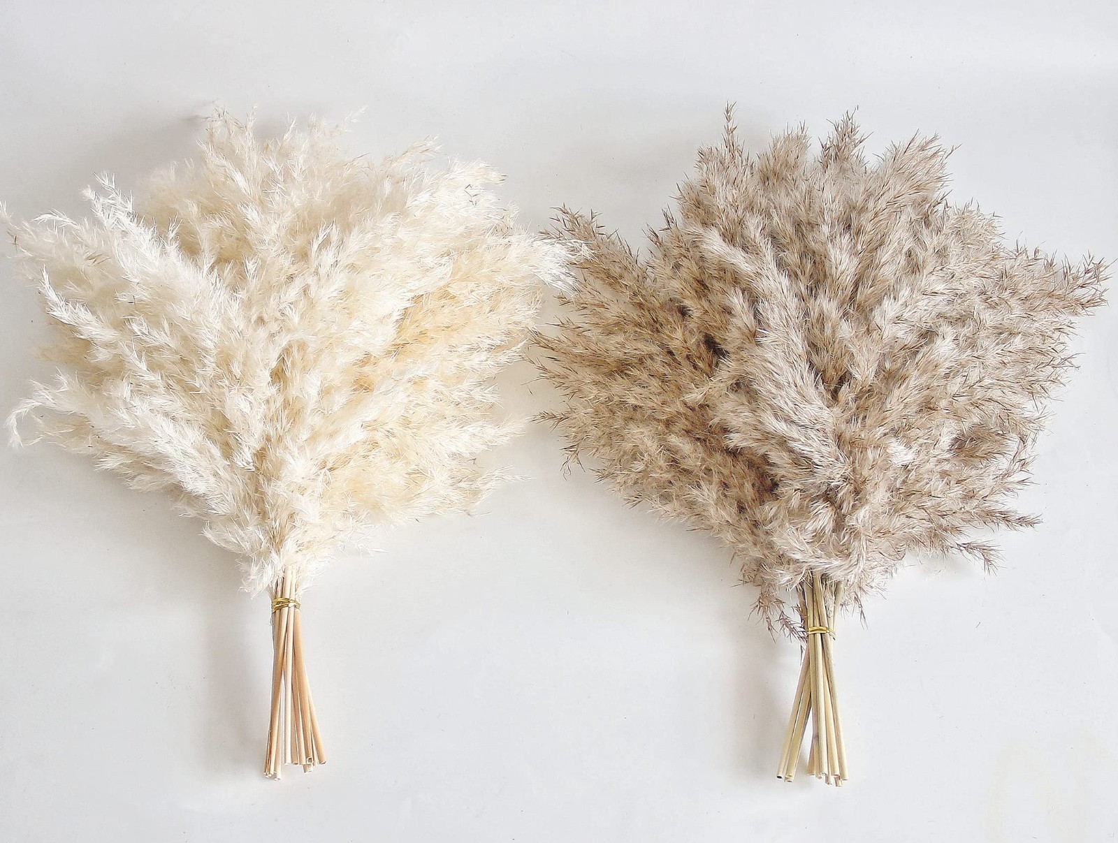 30 PCS Boho Decor Fluffy Pampas Grass – Natural Dried Short Pompas for Home & Ta