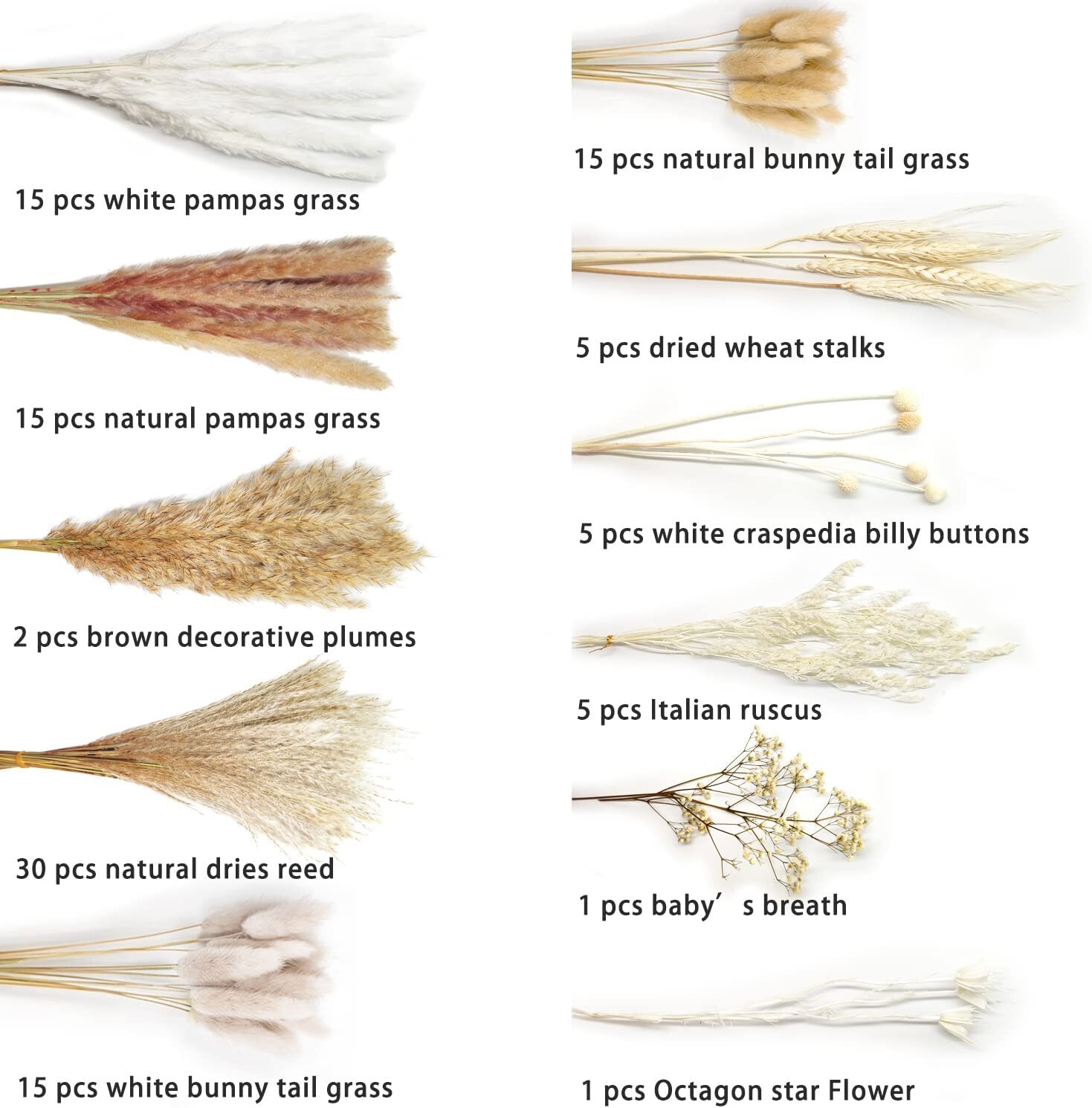104 Pcs /11 Various Dried Pampas Grass Décor, 17″, Wedding Home Boho Bouquet
