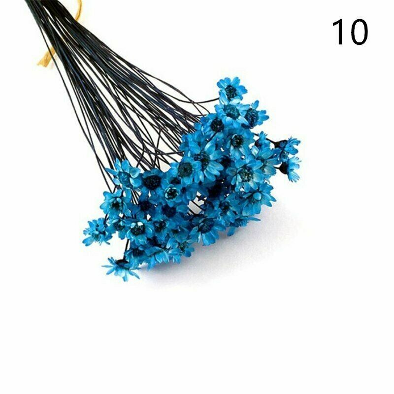 1 Pack Real Pressed Dried Flowers For Art Craft Resin Pendant Jewellery Making