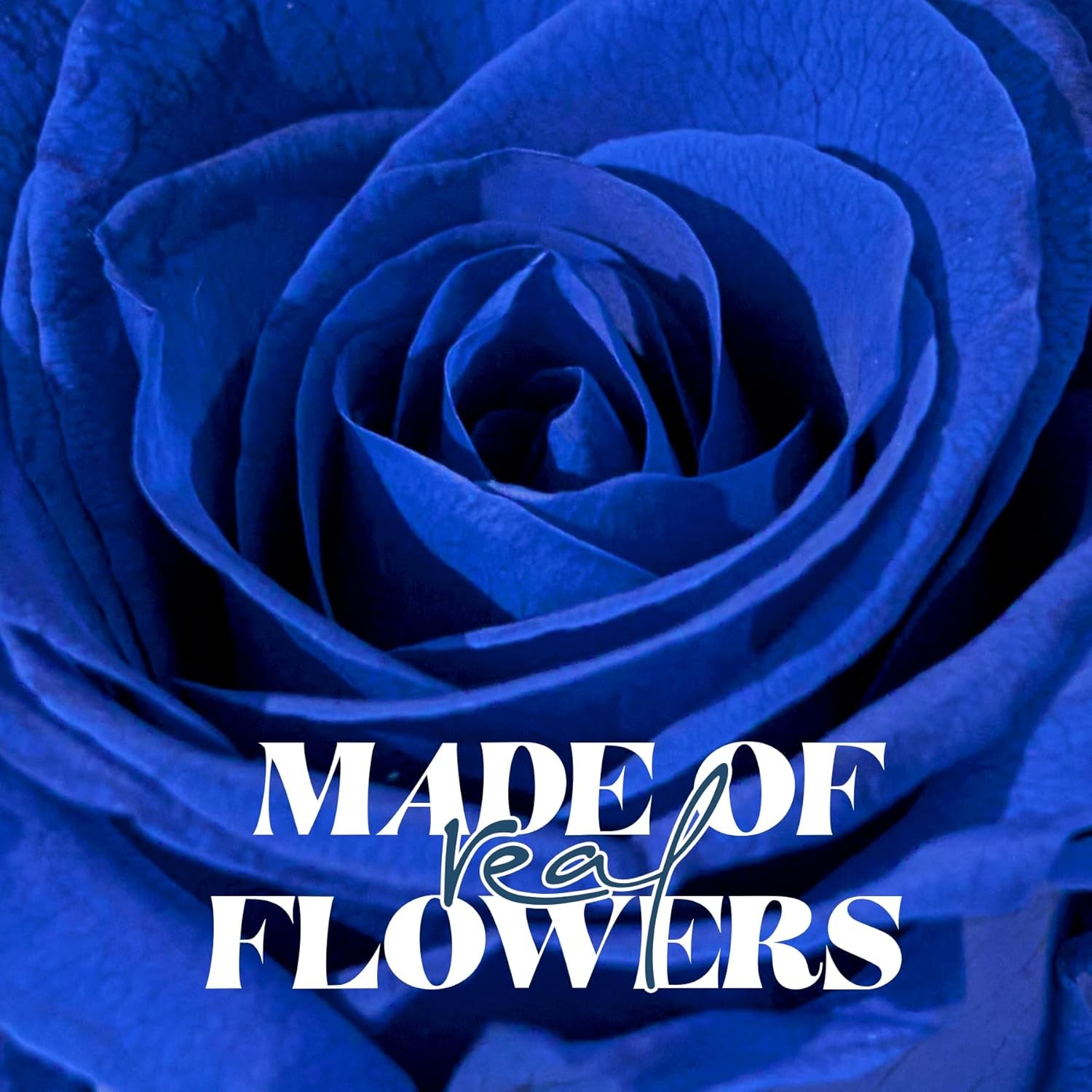 Forever Flowers Preserved Roses with Light in Glass Dome, Romantic Gifts for Mom
