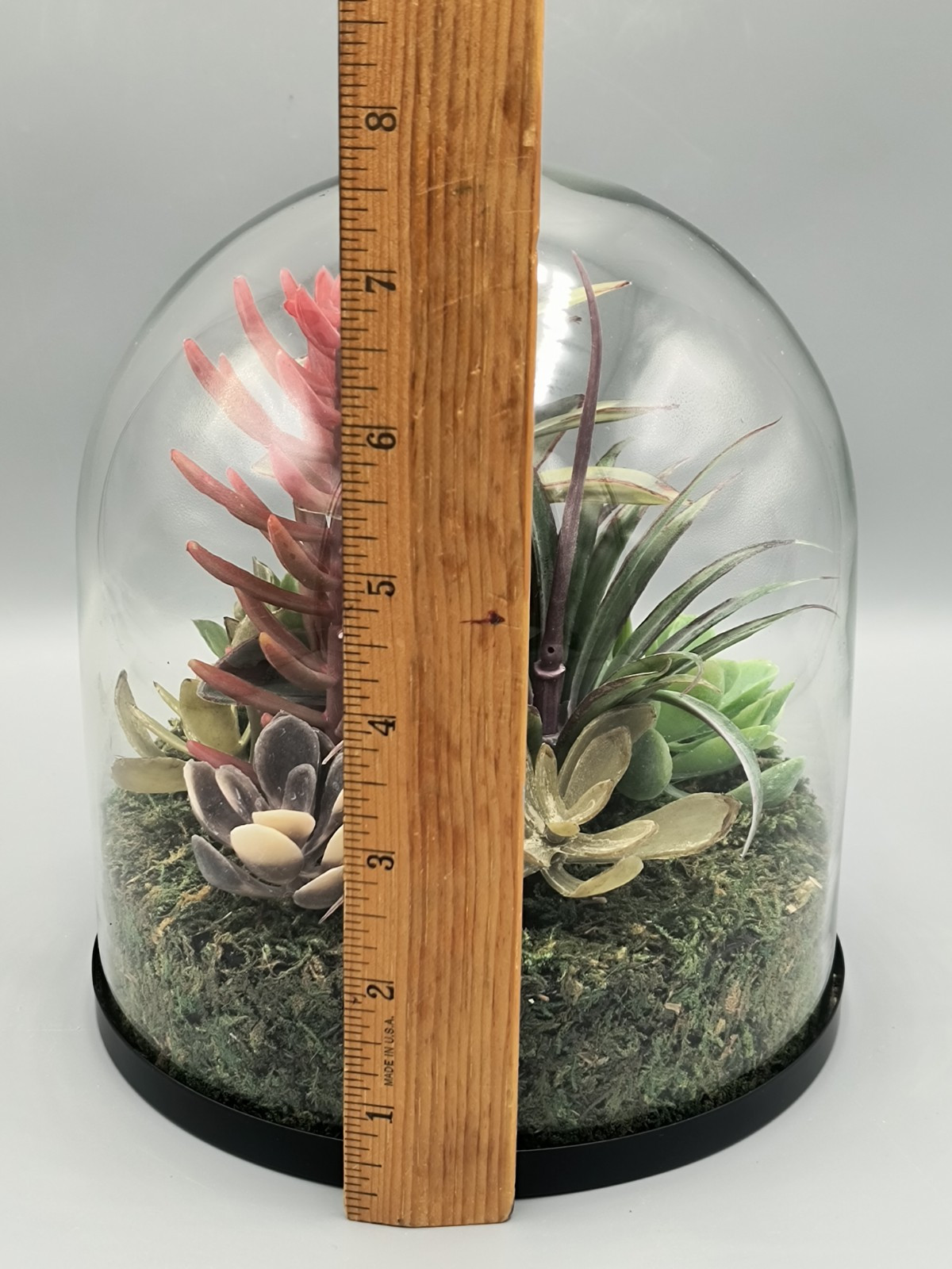 Terrarium Faux Succulents Arrangement In Glass Dome Atrium By Old Time Pottery