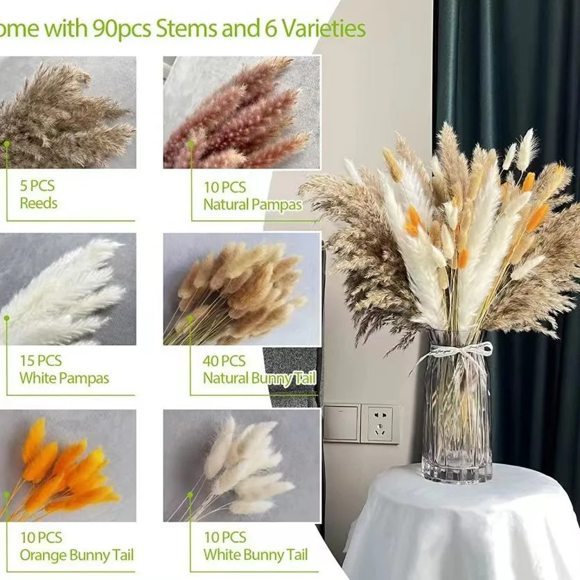 80PCS Natural Dried Flowers Bouquet Pampas Grass Bunny Tail Grass Boho Home Wedd