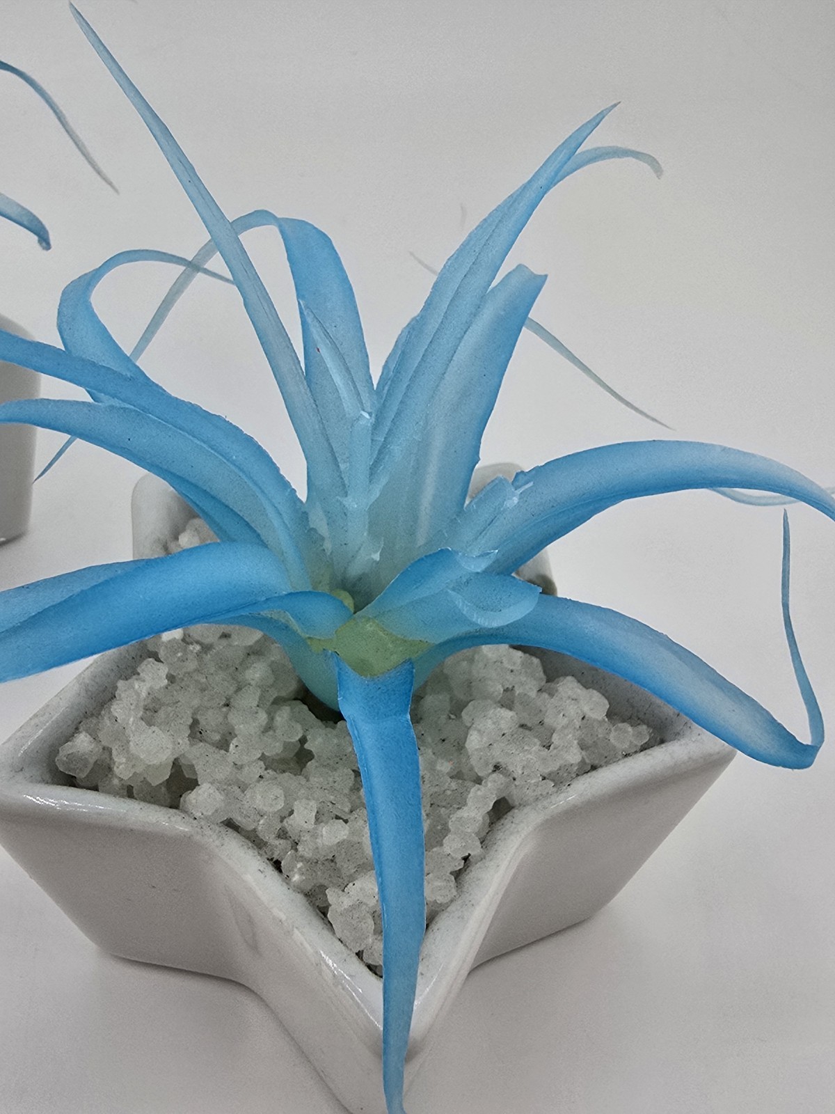 2 Faux Succulent Blue Tillandsia In Small Star Shaped Ceramic Pots 1 Damaged