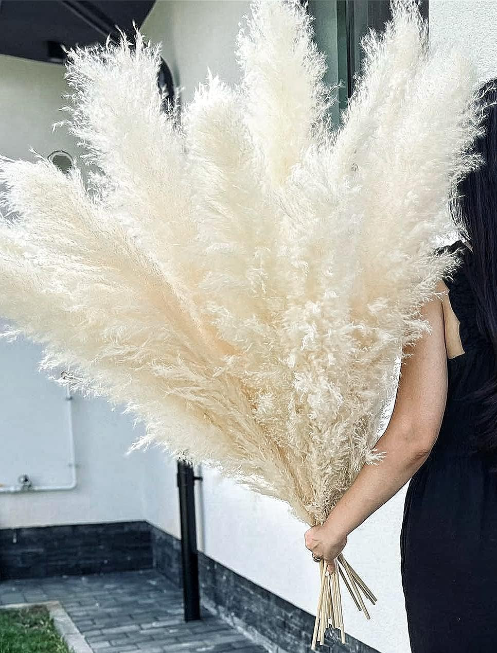 10 Stems 46″ Inch White Pampas Grass Decor Tall, Large Pompas Grass, Boho Neutra