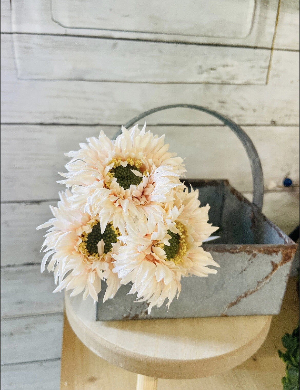Triple Gerbera Daisy Bouquet, Cream Pink NEW