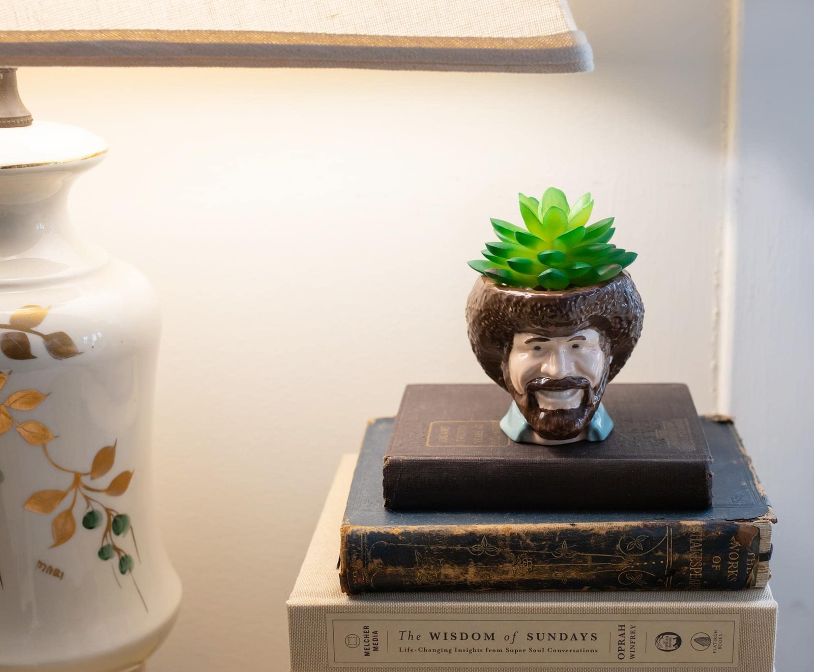 Toynk Bob Ross Mini Ceramic Planter with Artificial Succulent | Small Flower …