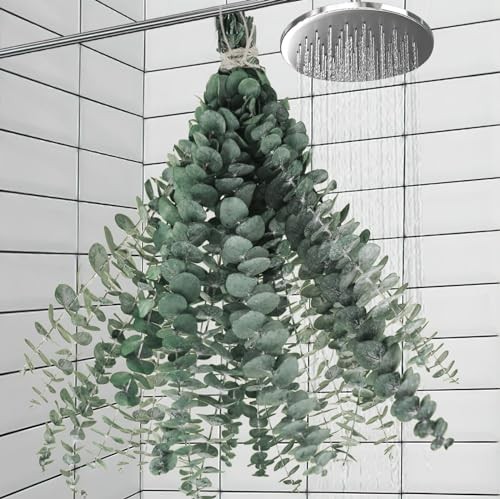 11 PCS Dried Eucalyptus Stems 17″ Natural Preserved Leaves for Shower Bathroom