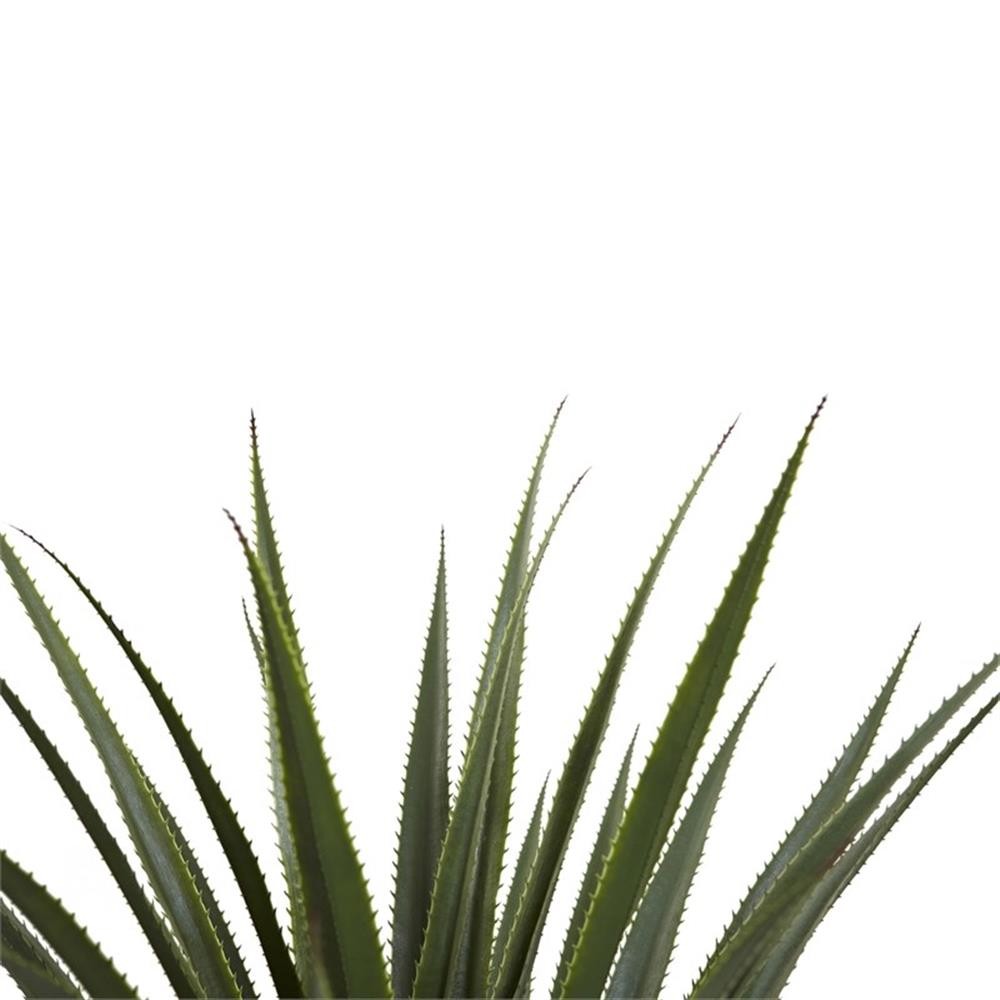 Pemberly Row 48″ Spiked Agave Plant with 361 Leaves in Green/Black