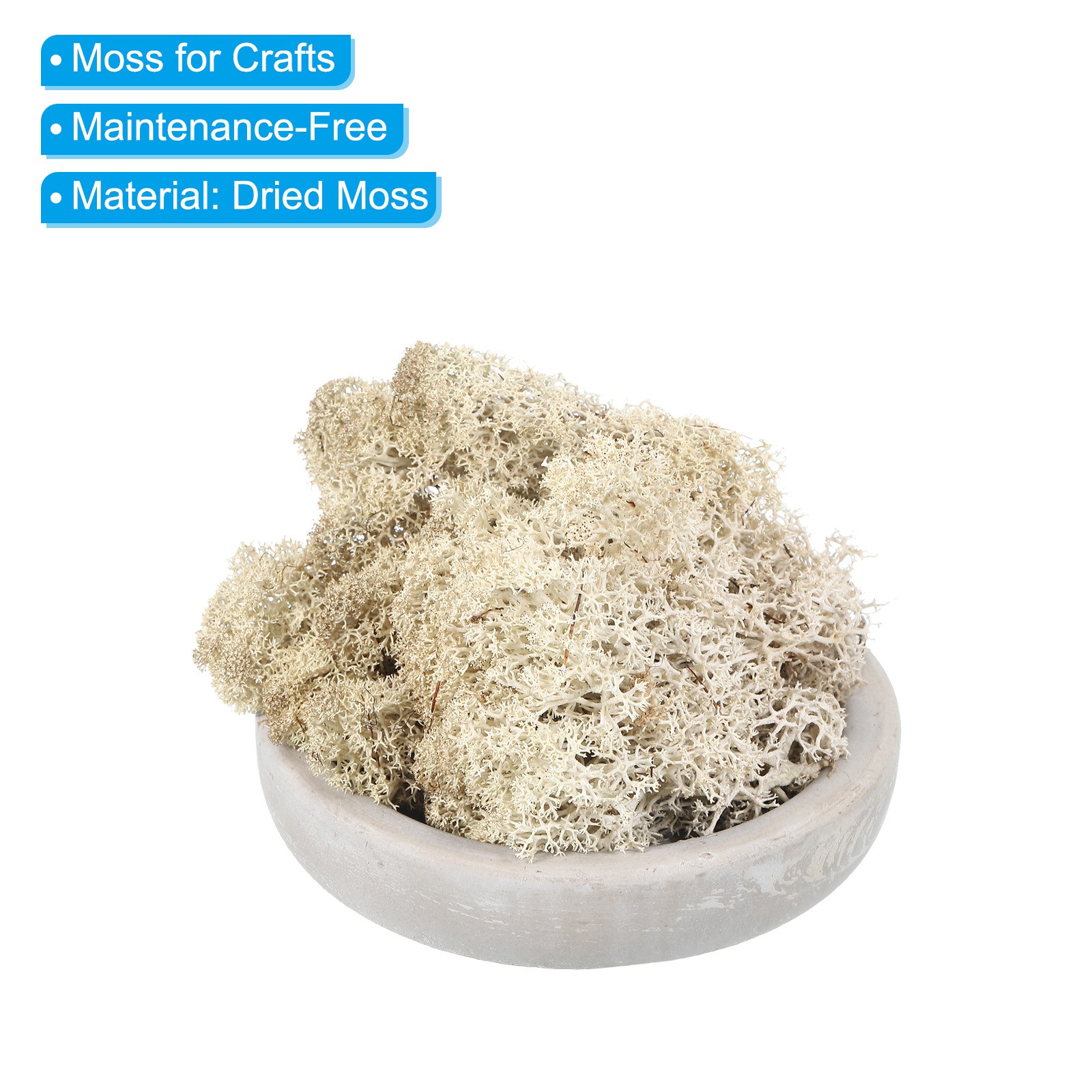 3.5 OZ Fake Moss Preserved Reindeer Moss Artificial Moss Lichen Natural