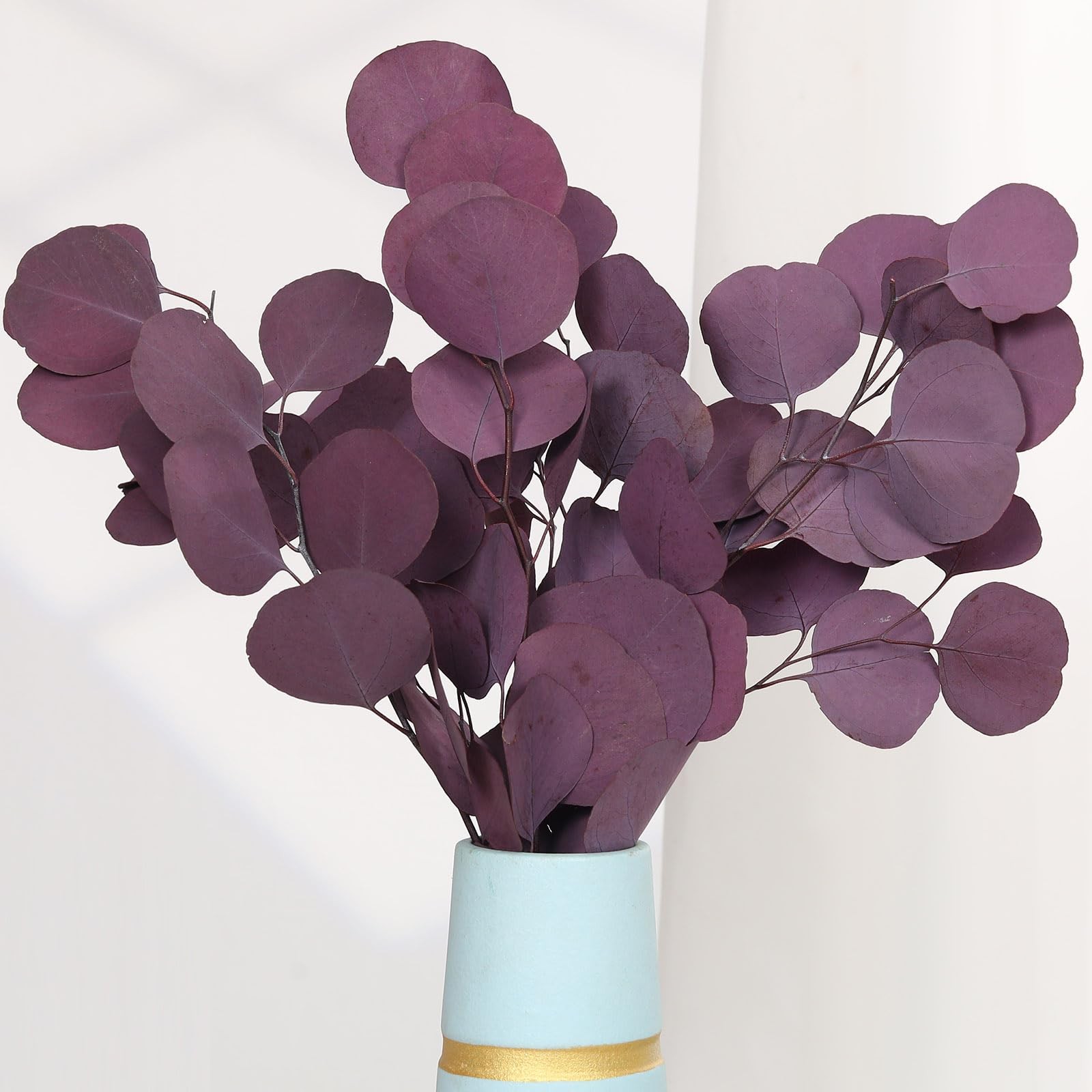 Preserved Dried Eucalyptus Stems, Purple Eucalyptus Leaves, 4-10 Pcs Silver D…
