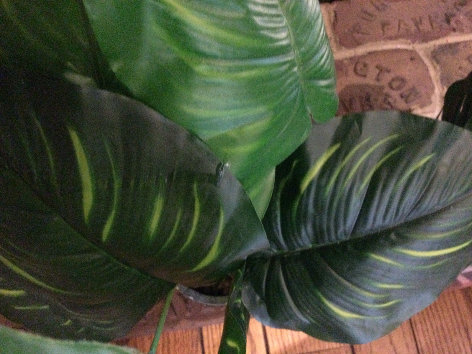 2 Small Artificial Fake Faux Plants➕Pots➕Stones 🌱Monstera➕Apple Leaf 📏16” Tall