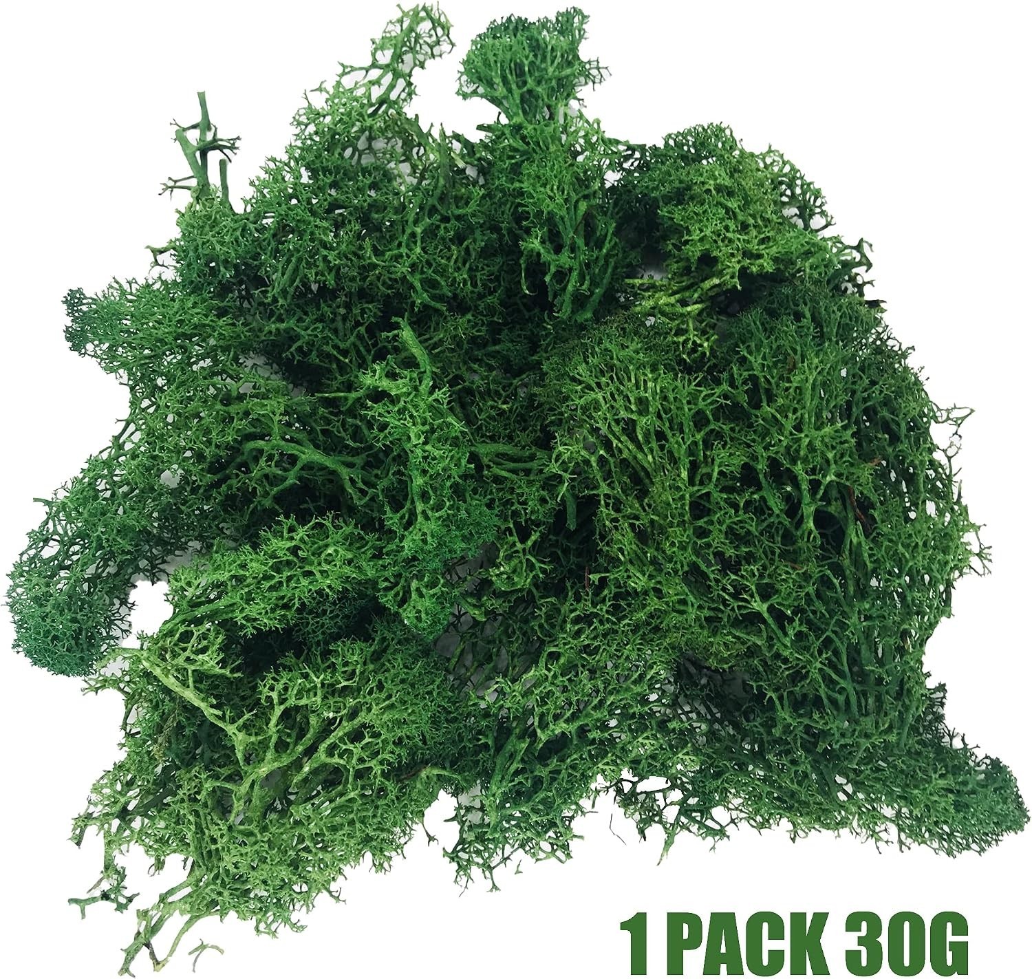 Decorative Artificial Moss Balls Set – 30 PCS with 30g Preserved Green Foam