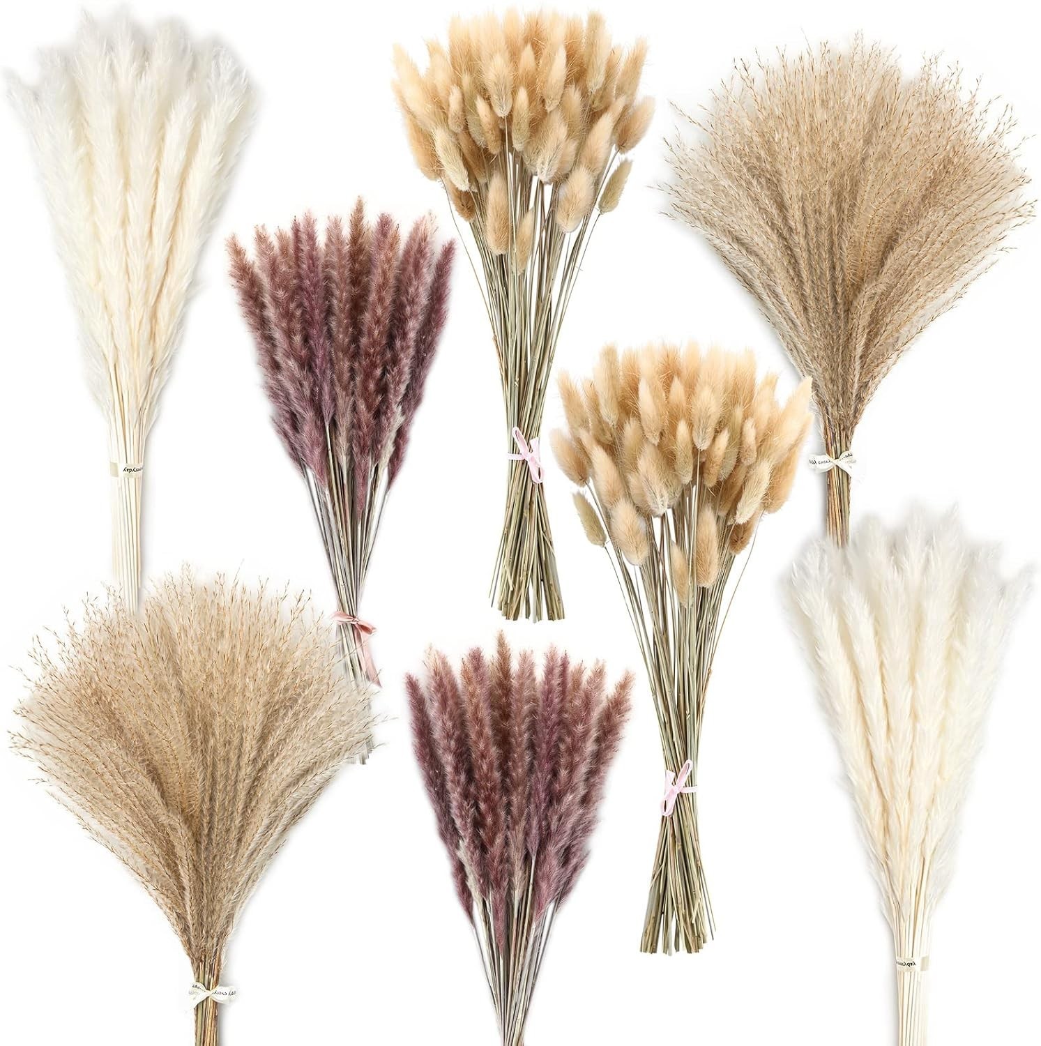 Versatile Dried Pampas Grass Decor – 190 Pieces for Weddings & Home Styling