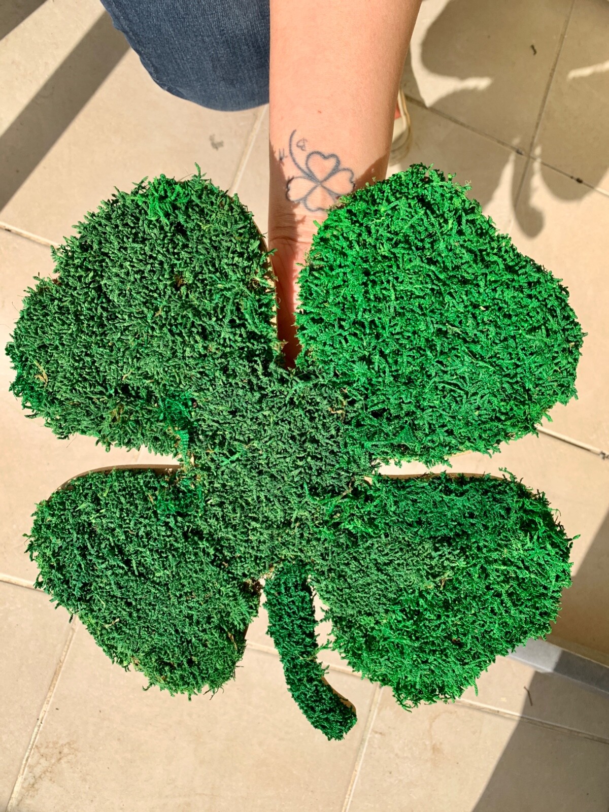Moss Design , Green Preserved Moss , Clover Leaf Wall Art Home Decor Wall Live
