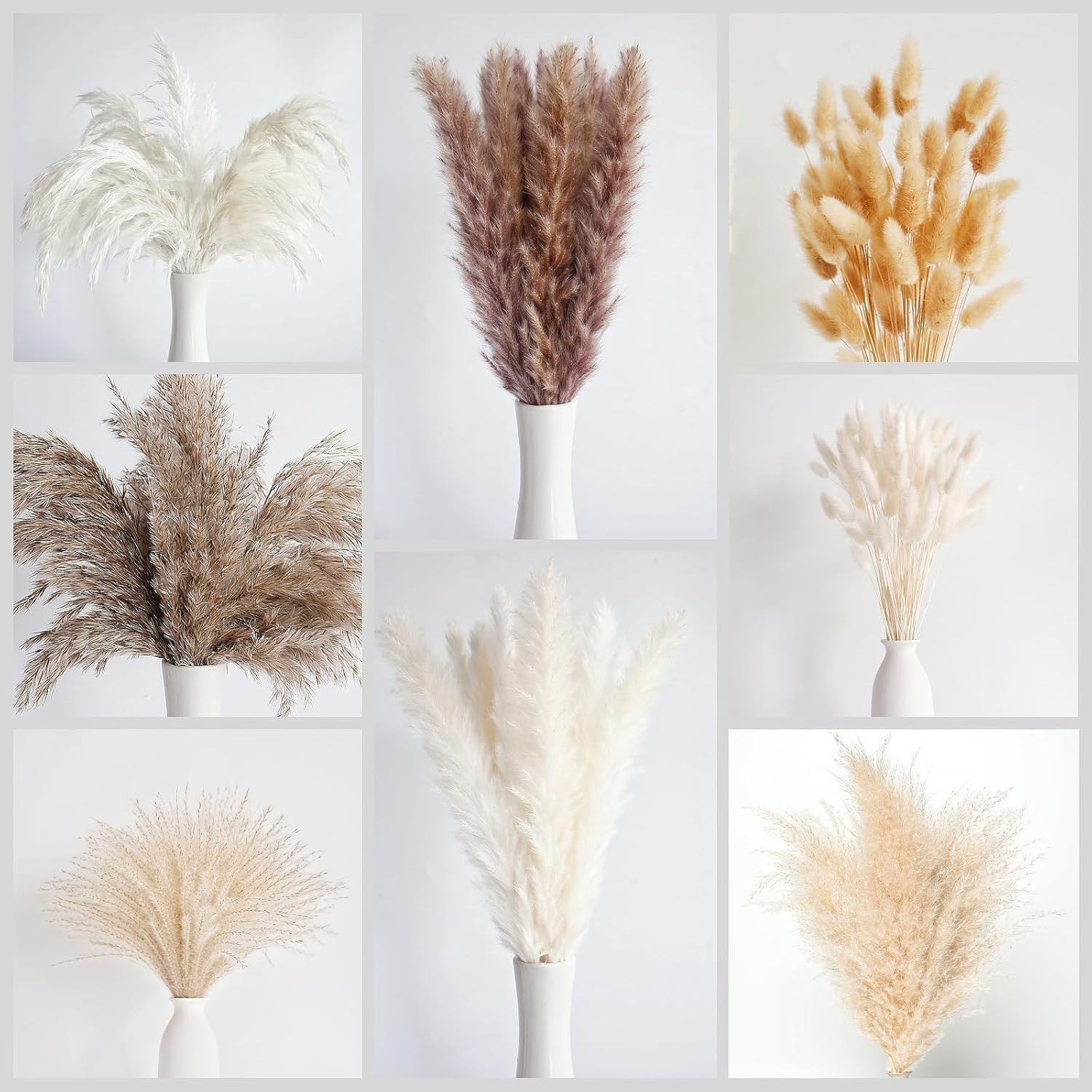 Bunny Tails Dried Flowers, Pampas Grass Bouquet – 130 PCS