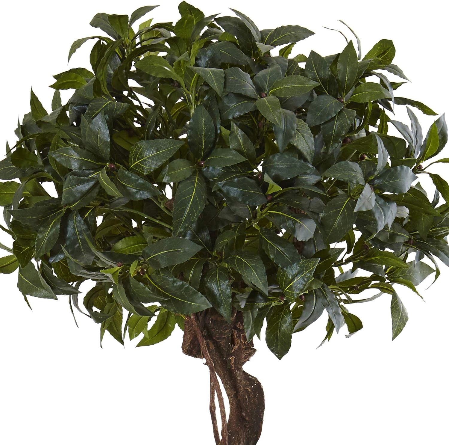 4.5Ft Sweet Bay Double Topiary Tree in Rustic Farmhouse Planter