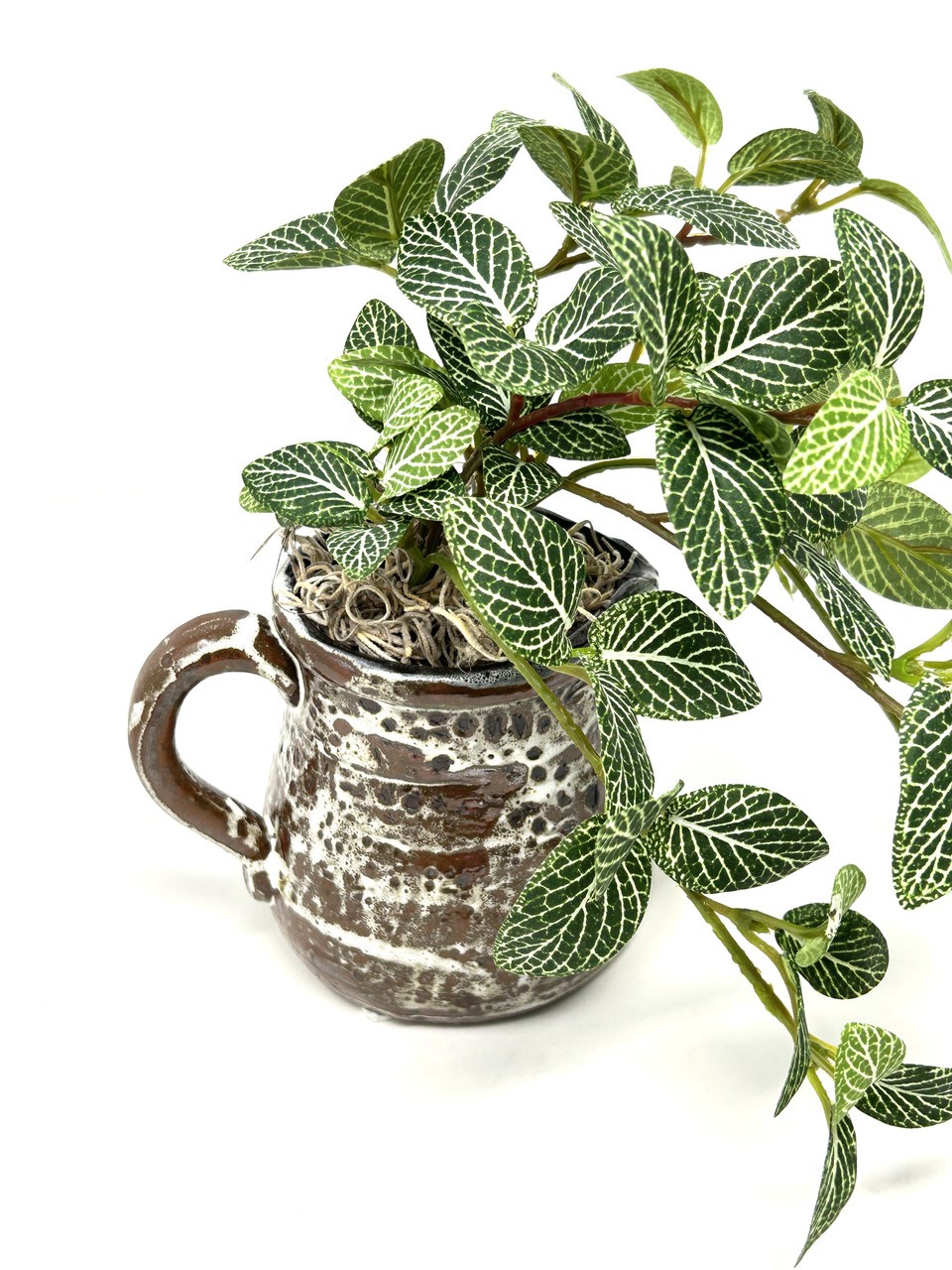8″ Small Artificial GREEN FITTONIA NERVE faux Silk plant potted in brown Ceramic