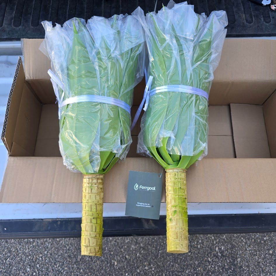 2 Pack Artificial Plants Fake Agave Succulent Plant 28 Inch Big Size Faux