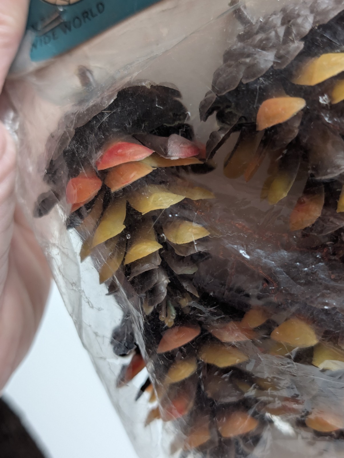 Lot Of 10 Vintage RNW Plastic Pinecones – Brown, Yellow, Orange Original Package