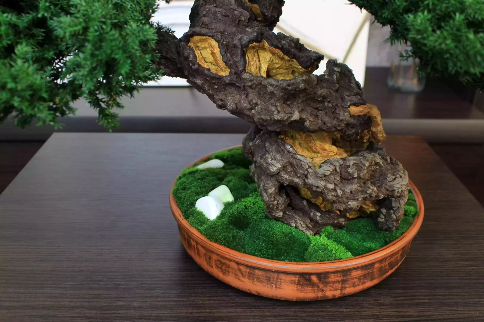 Luxury Preserved Bonsai Tree – Handmade Juniper Zen Sculpture. 49 cm / 19.29″