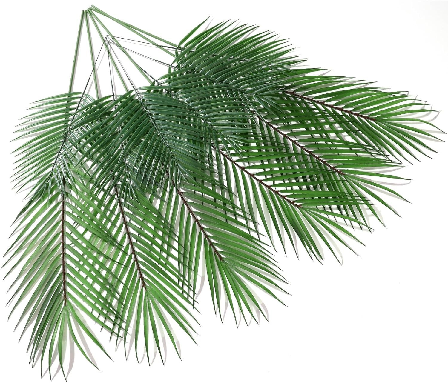 Sturdy 12-Piece Palm Leaf Set – 28.74″ & 15.35″ for Interior & Exterior Use