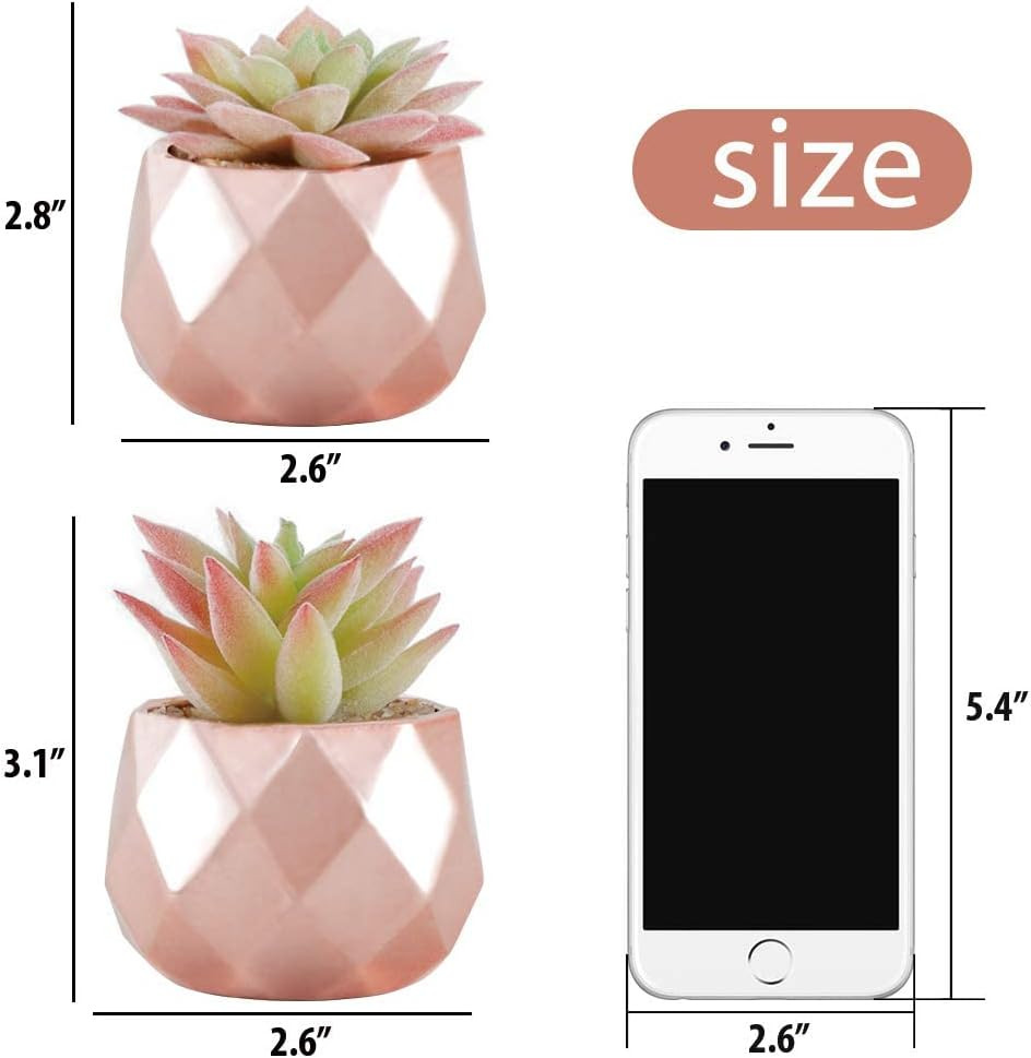 Artificial Faux Succulents in Pots, Mini Rose Gold Fake Plants for Women Desk…