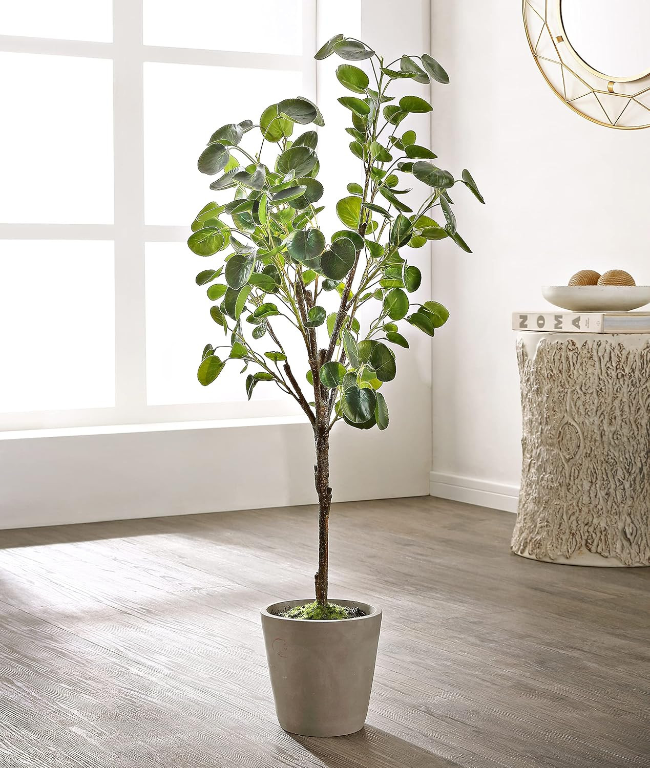 Lifelike 49-Inch Faux Polyscias Fruticosa Potted Tree – Fully Assembled Decor