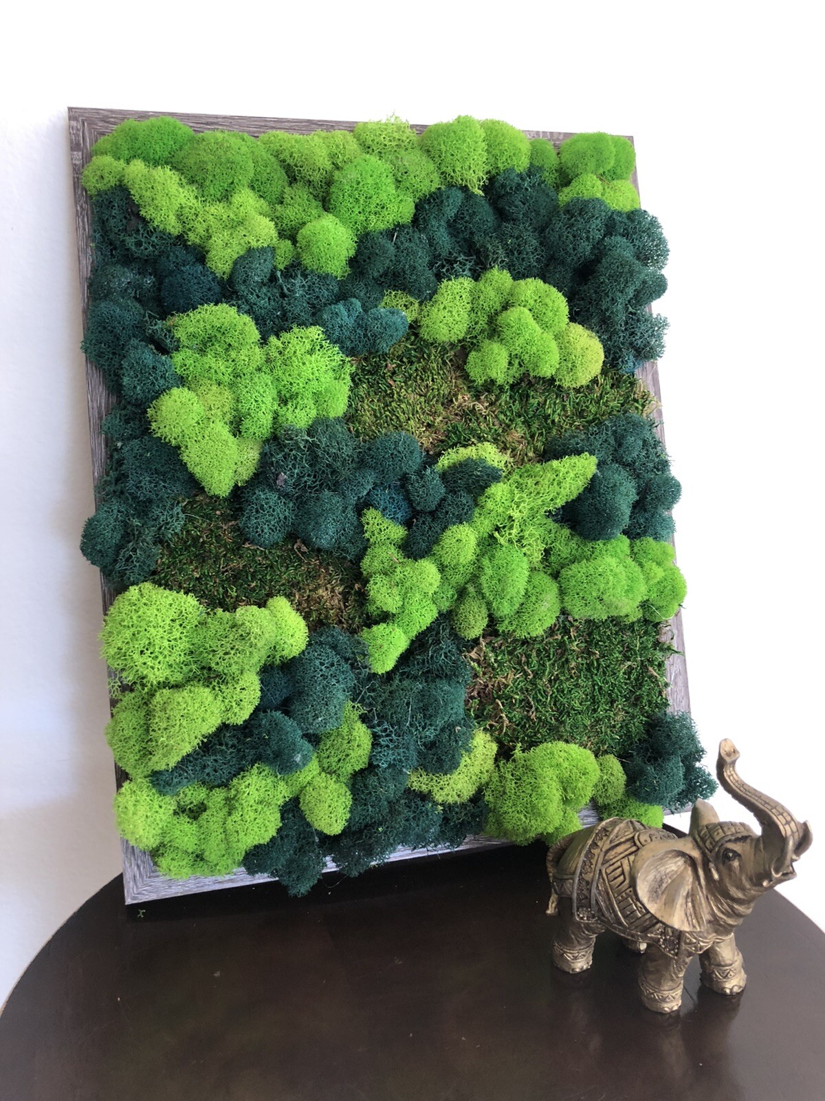 Moss Wall Art 11 X 14 3 Options