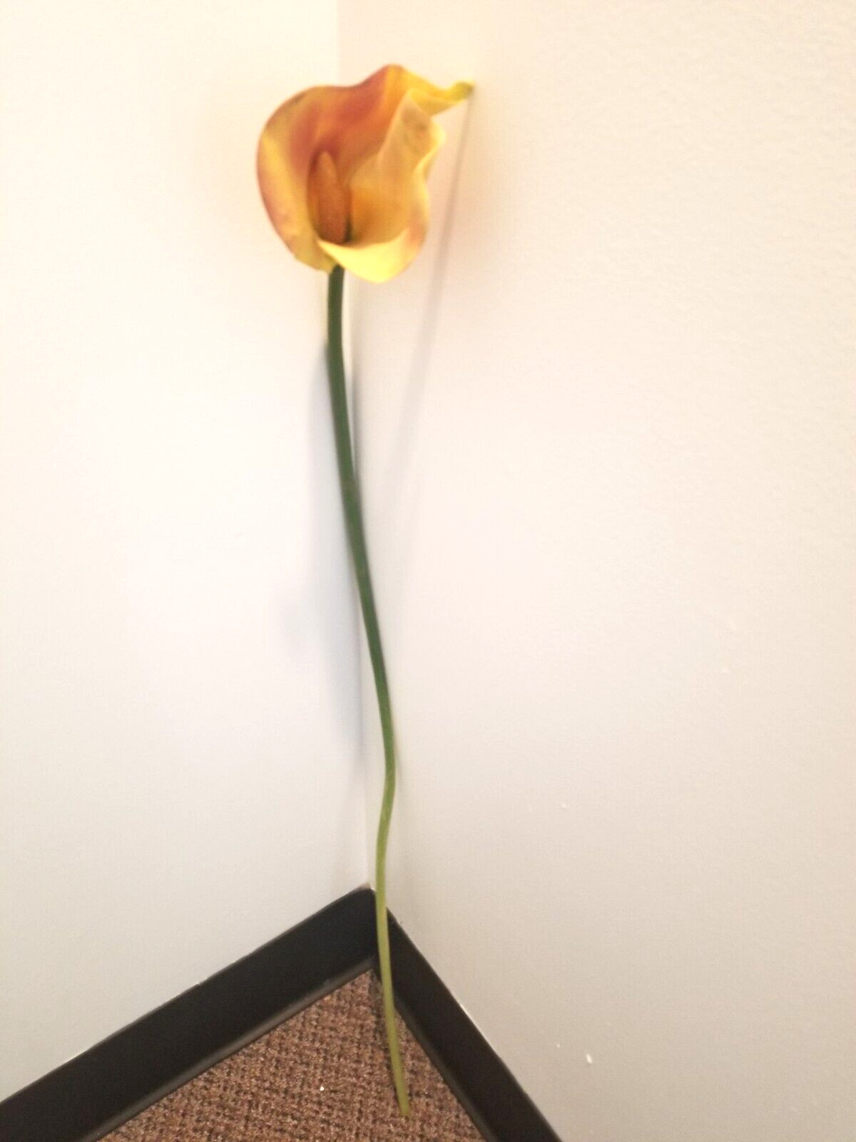 (5 FLOWERS) LILY ARTIFICIAL MULTICOLOR FLOWER, 33″ TALL
