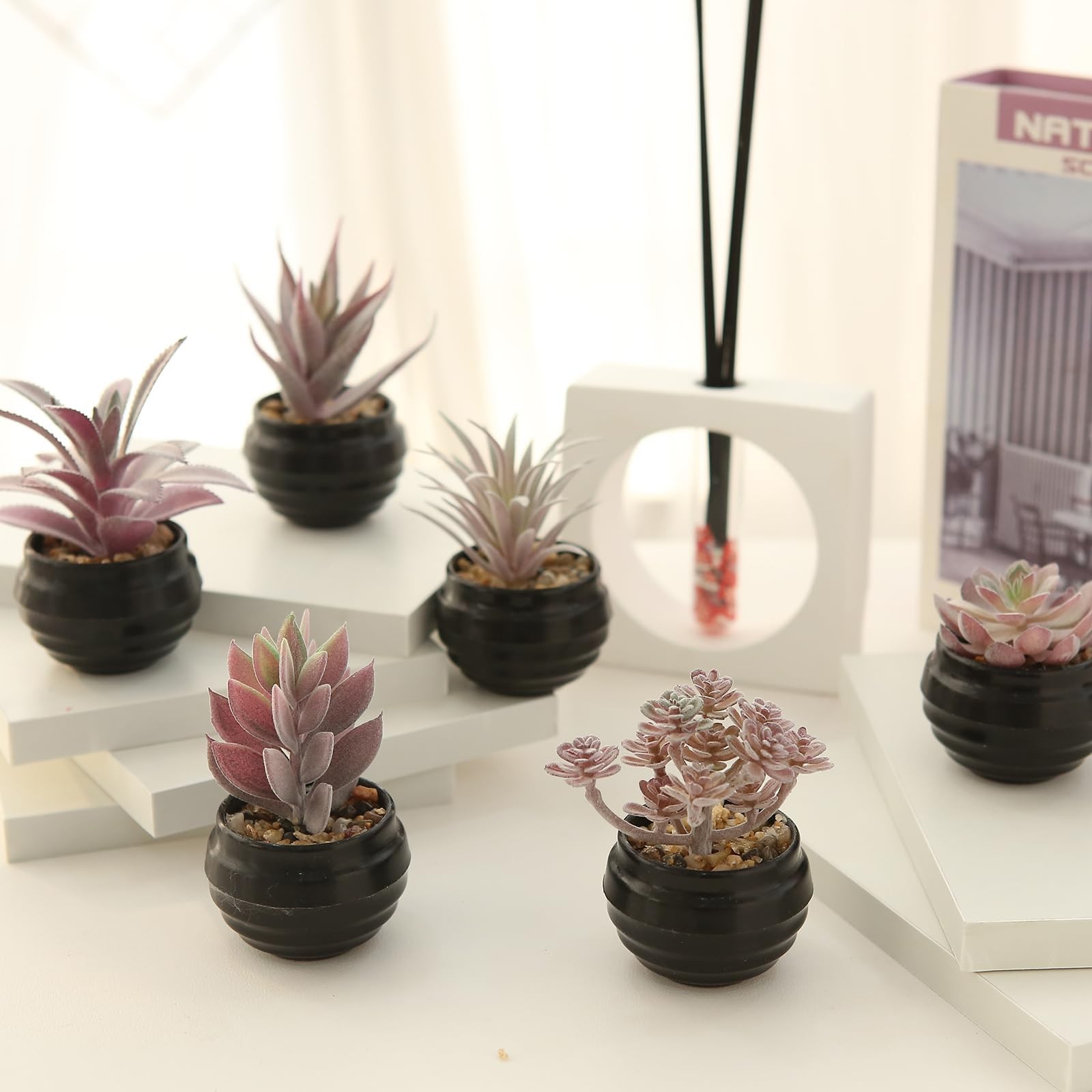 6 Pcs Purple Artificial Succulents in Plastic Pots Graduation Decorations Cla…