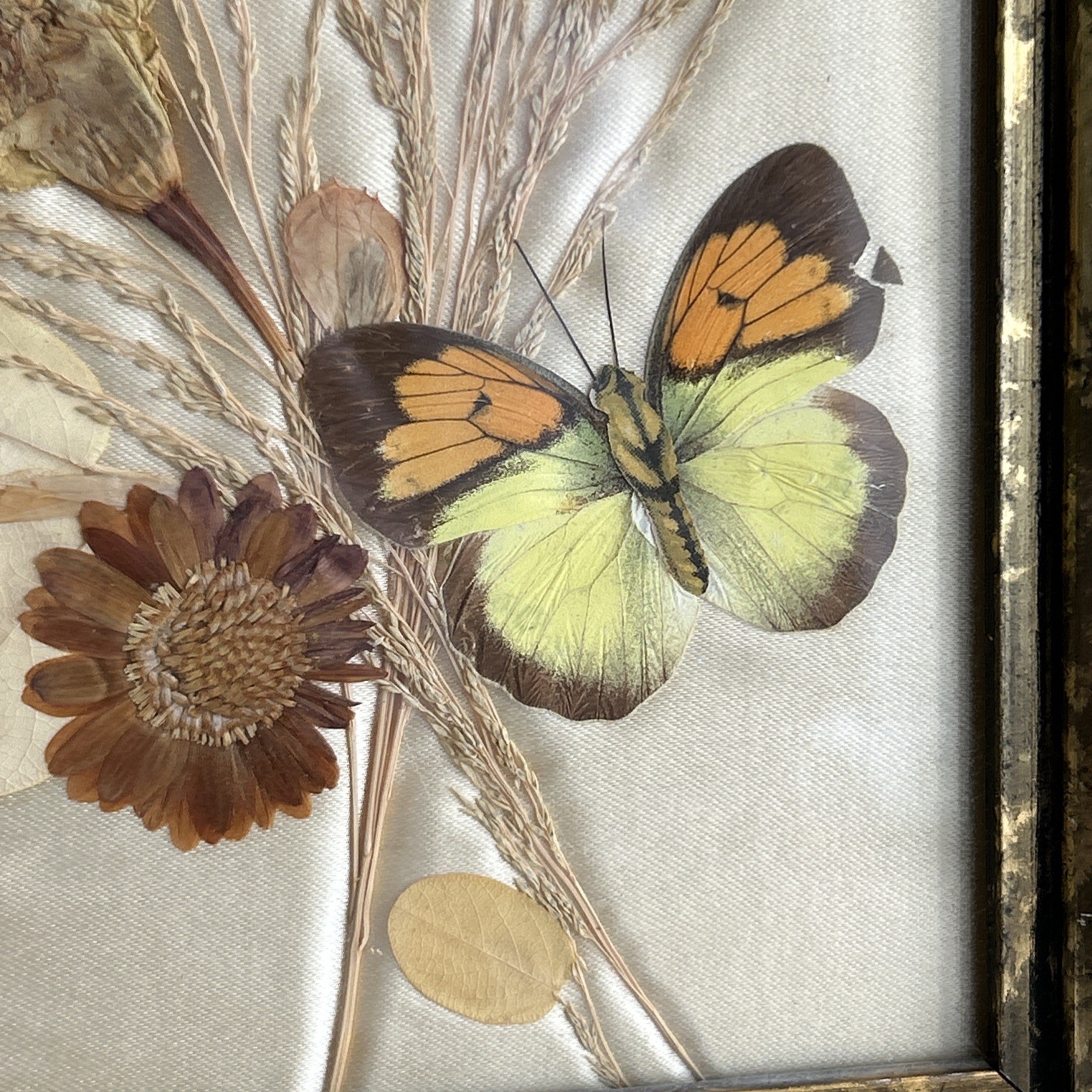 Vintage Framed Dried Pressed Flower Art Gold Frame Mini Floral Mildred Roberts