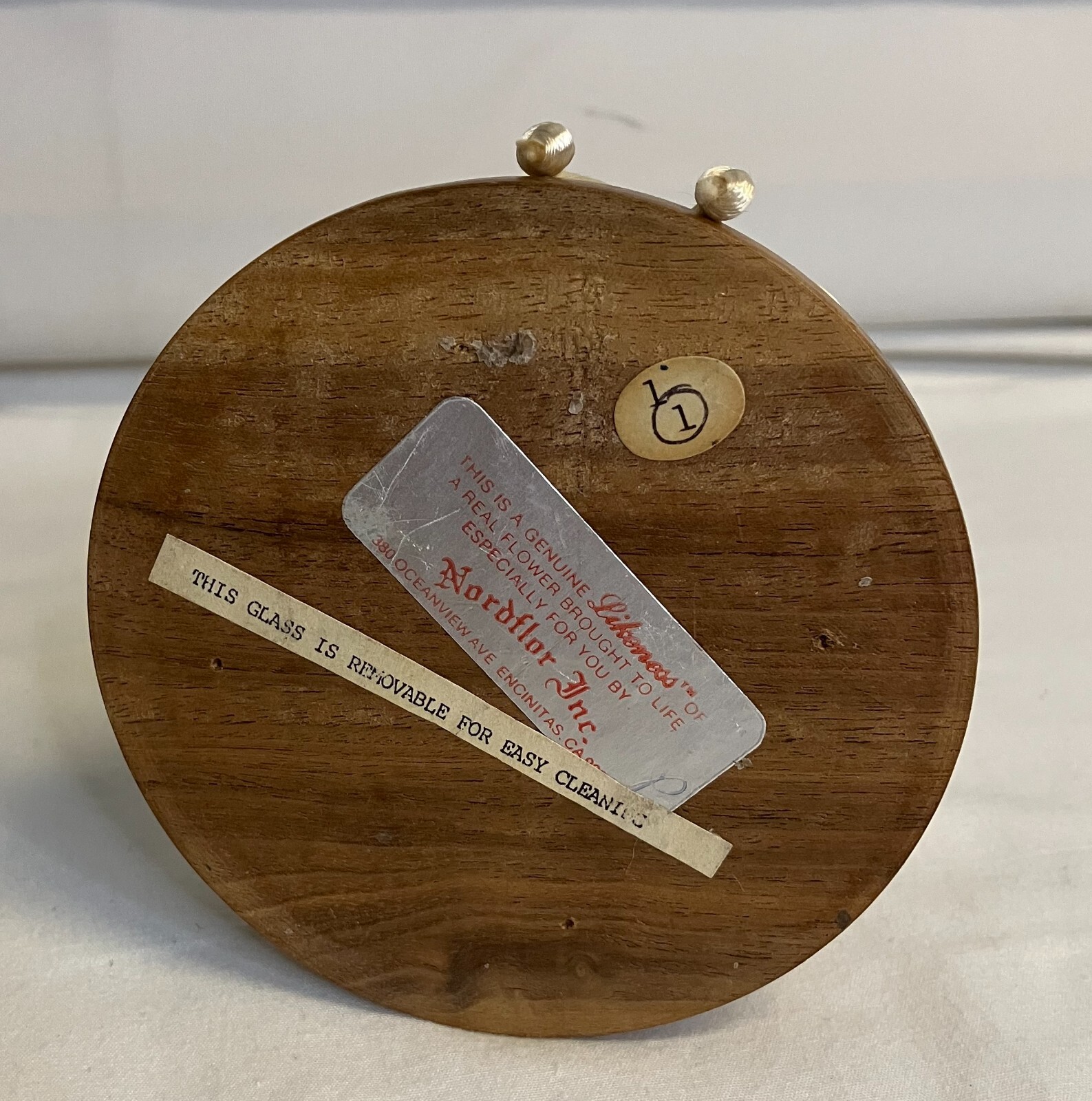 Nordflor Inc Globe Rose Flowers Wooden Base Display 5″ x 3.75″ x 3.75″
