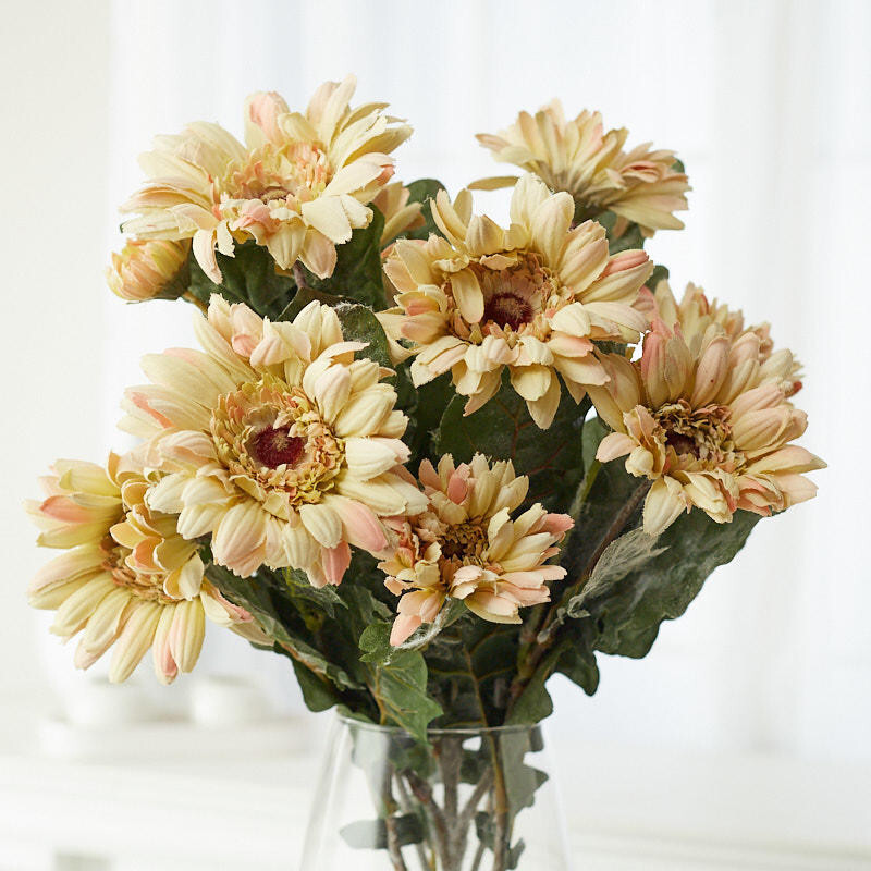 Factory Direct Craft Cream and White Artificial Daisy Bush | 1 Piece