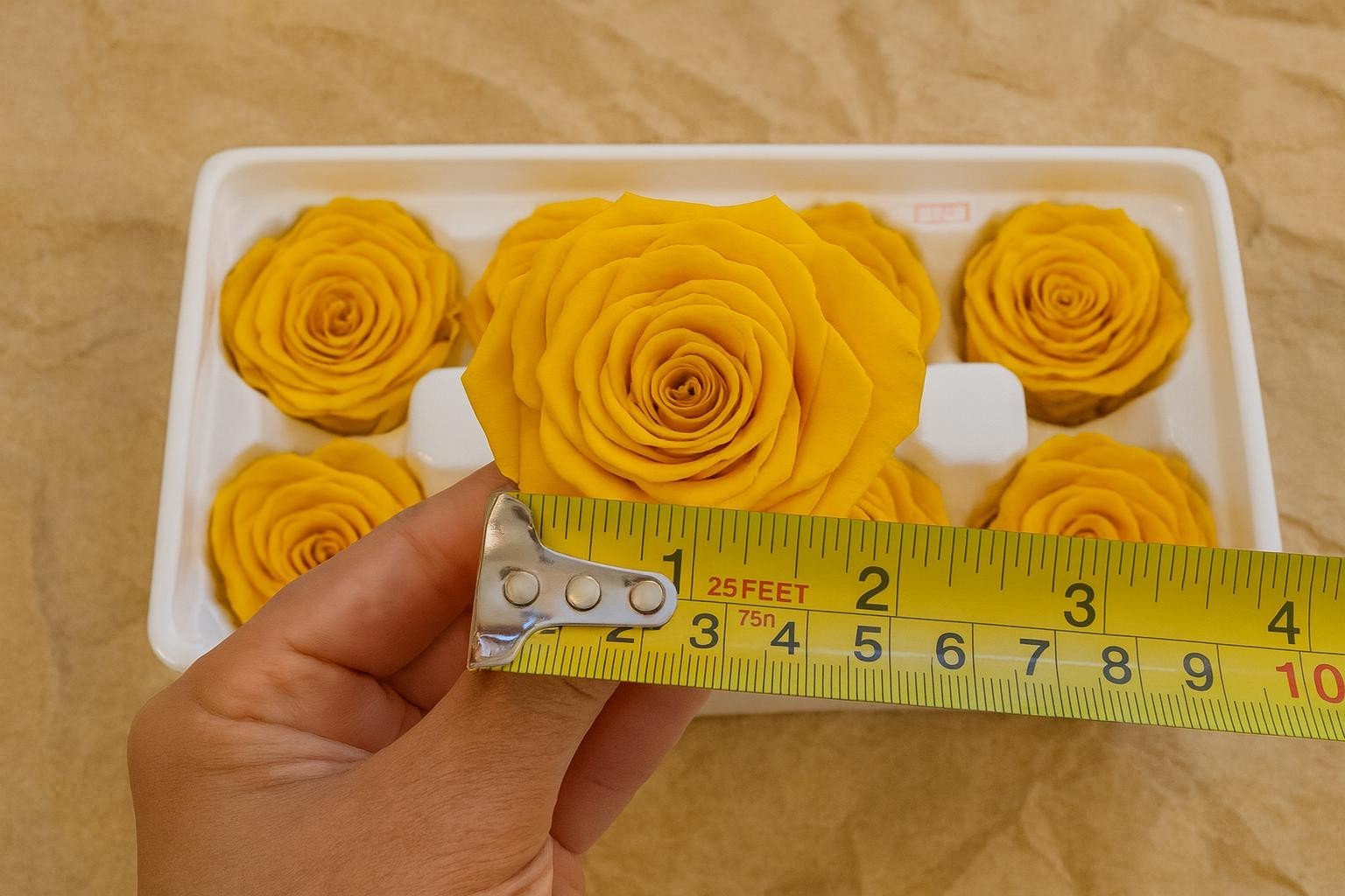 8 Preserved Yellow Roses Real Eternal Flowers DIY Crafts Wedding Gift Decor
