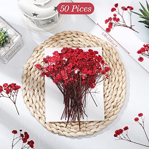Dried Baby Breath Flowers Red Gypsophila Dried Pressed Flowers 1.97-3.15