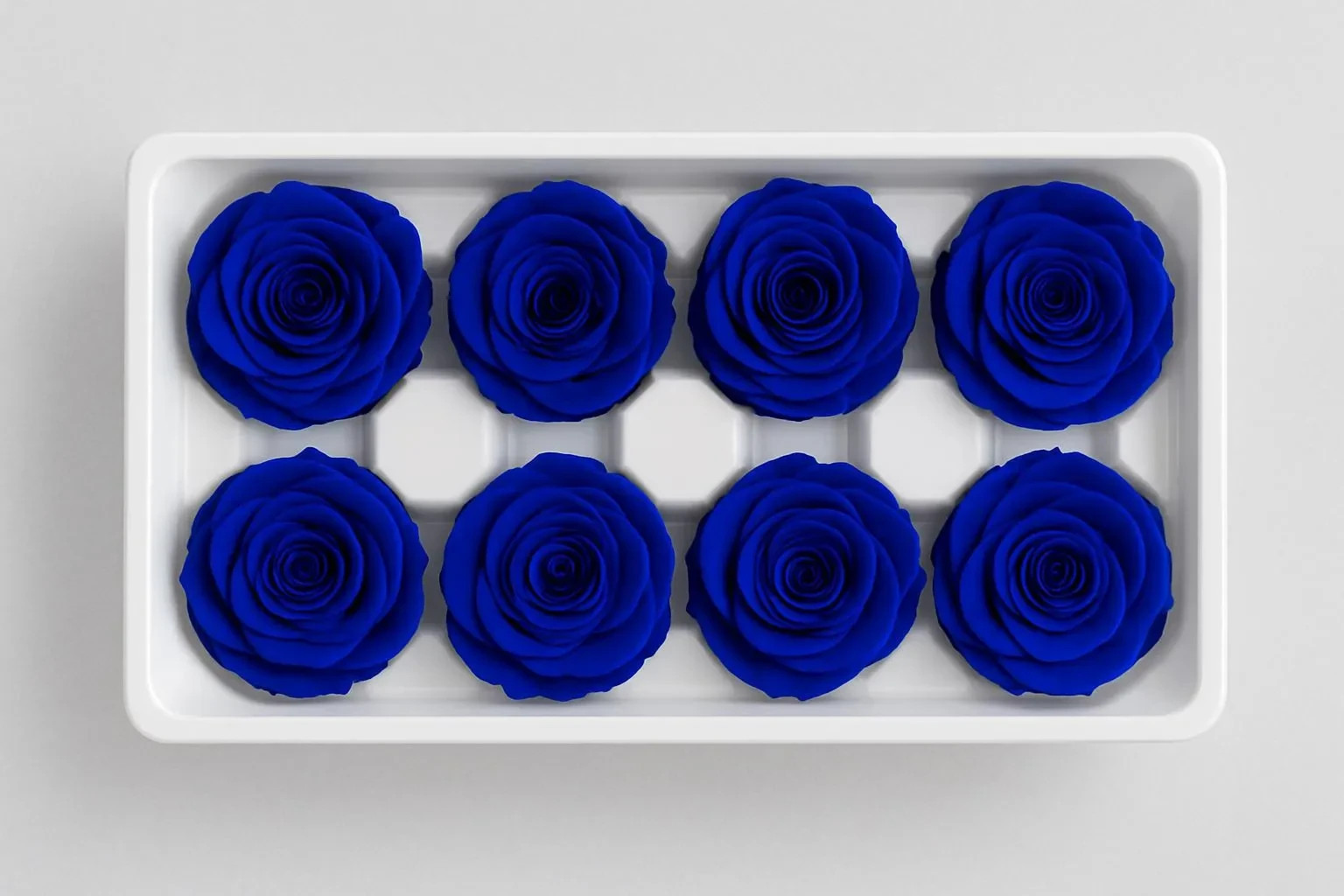 8 Preserved Blue Roses Real Eternal Flowers DIY Crafts Wedding Gift Decor